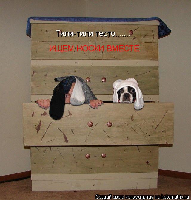 Тили-тили тесто....... ИЩЕМ НОСКИ ВМЕСТЕ... Котоматрица: Тили-тили тесто....... ИЩЕМ НОСКИ ВМЕСТЕ