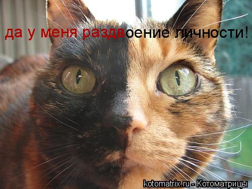 да у меня раздв оение личности!... Котоматрица: да у меня раздв оение личности!