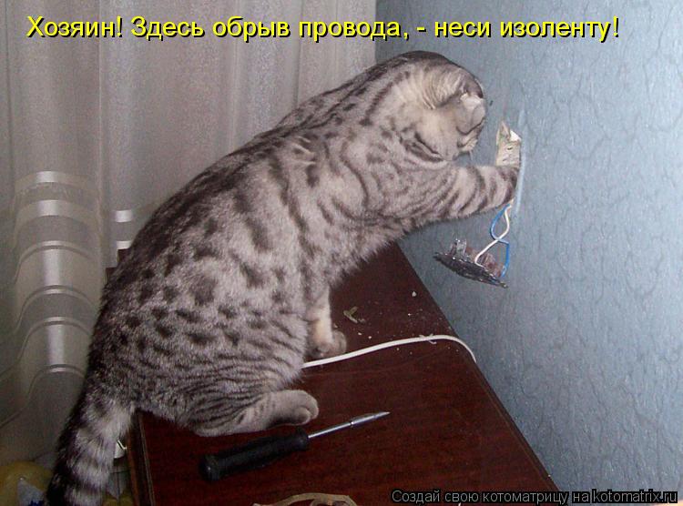 Хозяин! Здесь обрыв провода, - неси изоленту!... Котоматрица: Хозяин! Здесь обрыв провода, - неси изоленту!