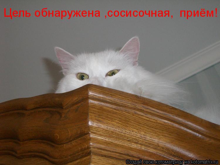 Цель обнаружена ,сосисочная, приём!... Котоматрица: Цель обнаружена ,сосисочная, приём!