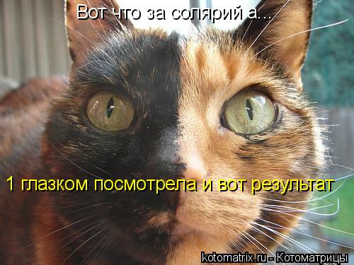 Вот что за солярий а... 1 глазком посмотрела и вот результат... Котоматрица: Вот что за солярий а... 1 глазком посмотрела и вот результат