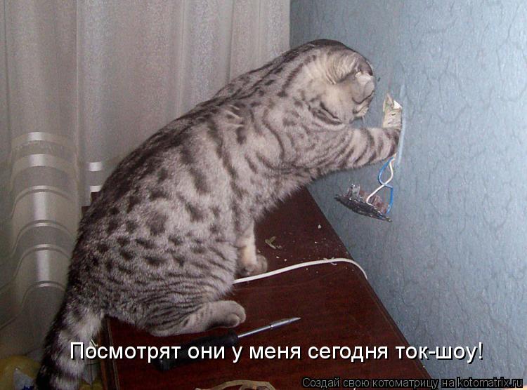 Посмотрят они у меня сегодня ток-шоу!... Котоматрица: Посмотрят они у меня сегодня ток-шоу!