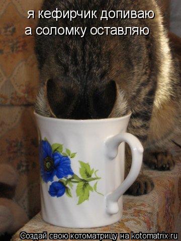 я кефирчик допиваю а соломку оставляю... Котоматрица: я кефирчик допиваю а соломку оставляю