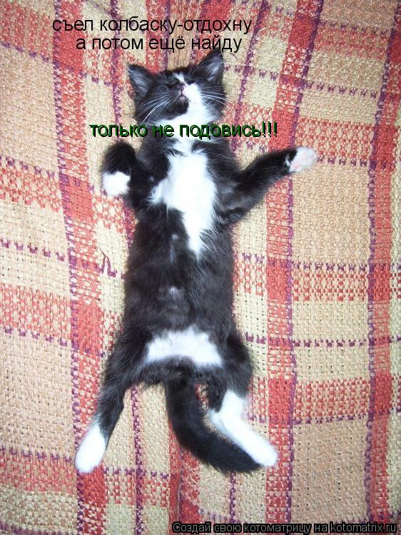 съел колбаску-отдохну а потом ещё найду только не подовись!!!... Котоматрица: съел колбаску-отдохну а потом ещё найду только не подовись!!!