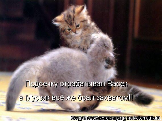 Подсечку отрабатывал Васёк а Мурзик всё же брал захватом!!... Котоматрица: Подсечку отрабатывал Васёк а Мурзик всё же брал захватом!!