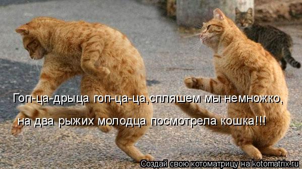 Гоп-ца-дрыца гоп-ца-ца,спляшем мы немножко, на два рыжих молодца посмотрела кошка!!!... Котоматрица: Гоп-ца-дрыца гоп-ца-ца,спляшем мы немножко, на два рыжих молодца посмотрела кошка!!!