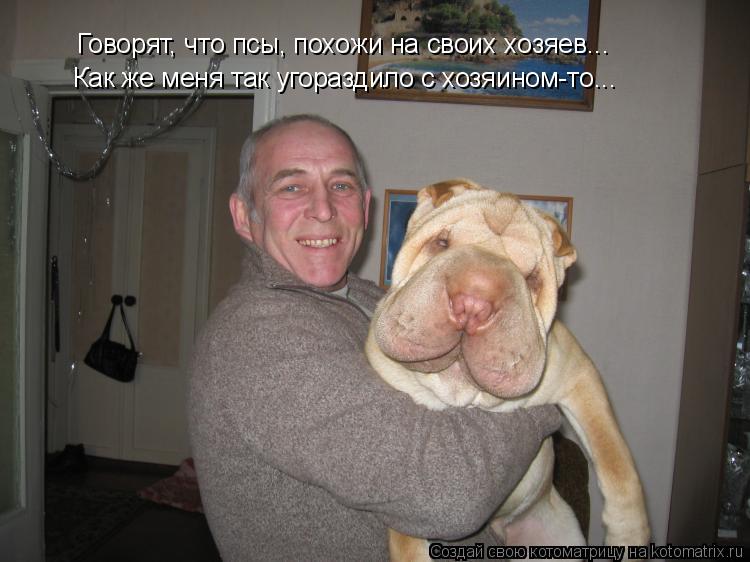 Говорят, что псы, похожи на своих хозяев... Как же меня так угораздило с хозяином-то...... Котоматрица: Говорят, что псы, похожи на своих хозяев... Как же меня так угораздило с хозяином-то...