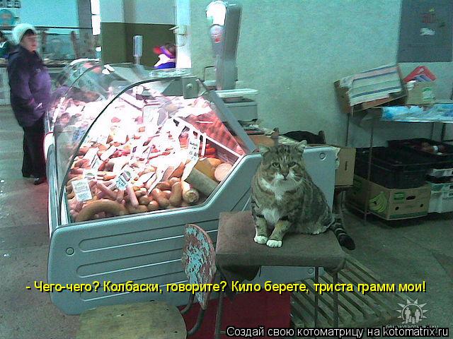 - Чего-чего? Колбаски, говорите? Кило берете, триста грамм мои!... Котоматрица: - Чего-чего? Колбаски, говорите? Кило берете, триста грамм мои!