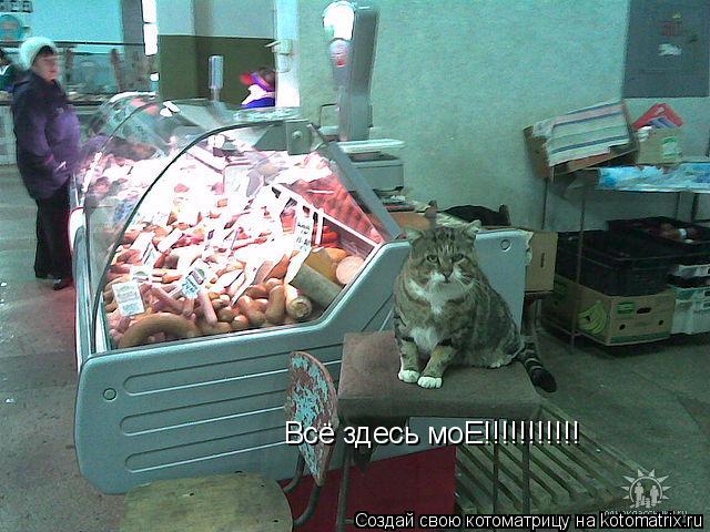 Всё здесь моЕ!!!!!!!!!!!... Котоматрица: Всё здесь моЕ!!!!!!!!!!!