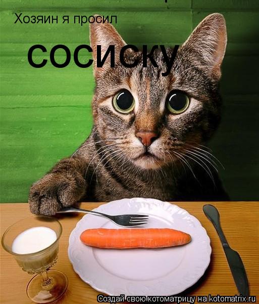 Xозяин я просил Xозяин я просил сосиску... Котоматрица: Xозяин я просил Xозяин я просил сосиску