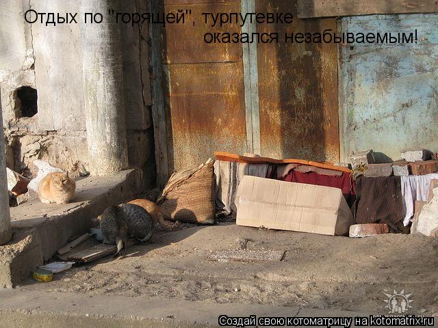 Отдых по "горящей", турпутевке оказался незабываемым!... Котоматрица: Отдых по "горящей", турпутевке оказался незабываемым!