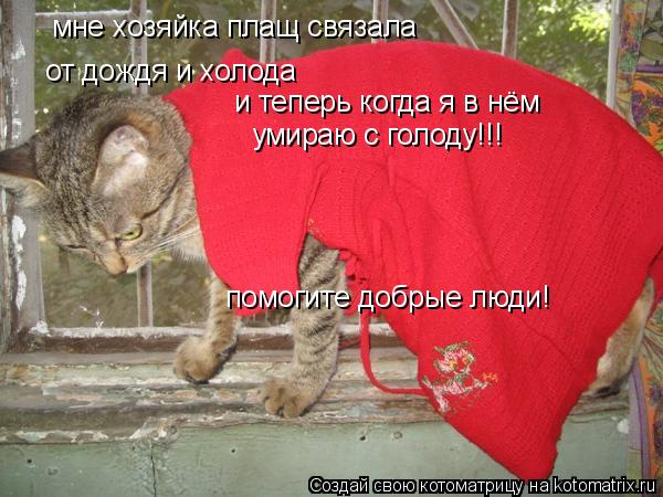 от дождя и холода и теперь когда я в нём умираю с голоду!!! мне хозяйка плащ связала помогите добрые ... Котоматрица: от дождя и холода и теперь когда я в нём умираю с голоду!!! мне хозяйка плащ связала помогите добрые люди!