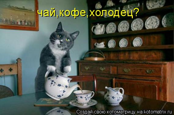 чай,кофе,холодец?... Котоматрица: чай,кофе,холодец?
