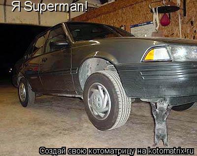 Я Superman!... Котоматрица: Я Superman!