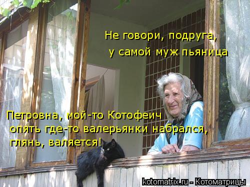 Не говори, подруга, у самой муж пьяница Петровна, мой-то Котофеич опять где-то валерьянки набрался, ... Котоматрица: Не говори, подруга, у самой муж пьяница Петровна, мой-то Котофеич опять где-то валерьянки набрался, глянь, валяется!