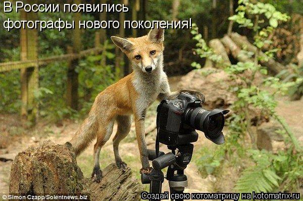 В России появились фотографы нового поколения!... Котоматрица: В России появились фотографы нового поколения!