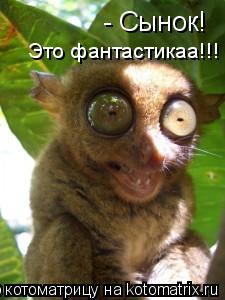 - Сынок! Это фантастикаа!!!... Котоматрица: - Сынок! Это фантастикаа!!!