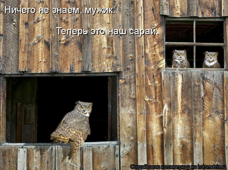 Ничего не знаем, мужик. Теперь это наш сарай.... Котоматрица: Ничего не знаем, мужик. Теперь это наш сарай.