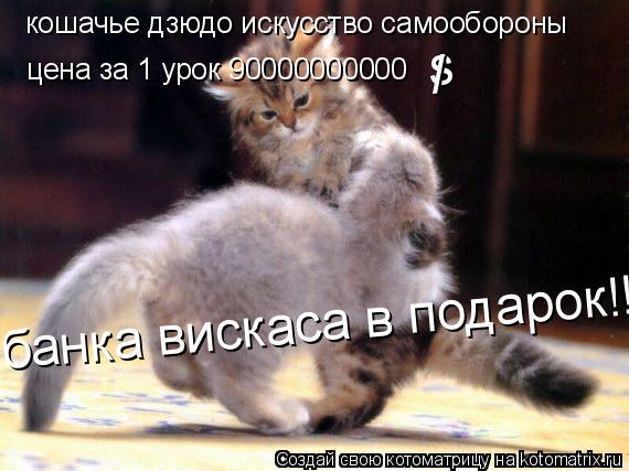 кошачье дзюдо искусство самообороны цена за 1 урок 90000000000 s / банка вискаса в подарок!!!... Котоматрица: кошачье дзюдо искусство самообороны цена за 1 урок 90000000000 s / банка вискаса в подарок!!!