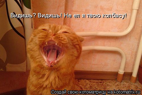 Видишь? Видишь! Не ел я твою колбасу!... Котоматрица: Видишь? Видишь! Не ел я твою колбасу!
