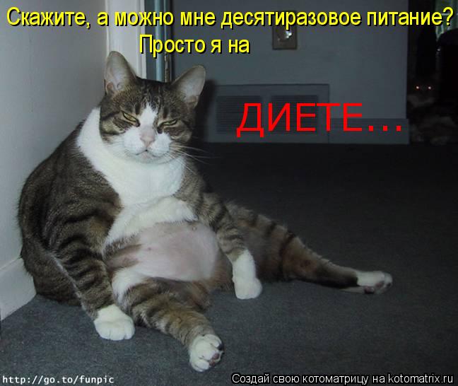 Скажите, а можно мне десятиразовое питание? Просто я на ДИЕТЕ...... Котоматрица: Скажите, а можно мне десятиразовое питание? Просто я на ДИЕТЕ...