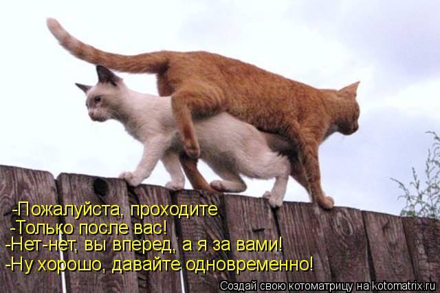 -Пожалуйста, проходите -Нет-нет, вы вперед, а я за вами! -Только после вас! -Ну хорошо, давайте одно... Котоматрица: -Пожалуйста, проходите -Нет-нет, вы вперед, а я за вами! -Только после вас! -Ну хорошо, давайте одновременно!