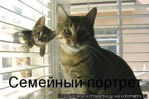 Семейный портрет... Котоматрица: Семейный портрет