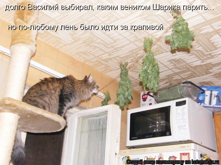 долго Василий выбирал, каким веником Шарика парить... но по-любому лень было идти за крапивой... Котоматрица: долго Василий выбирал, каким веником Шарика парить... но по-любому лень было идти за крапивой