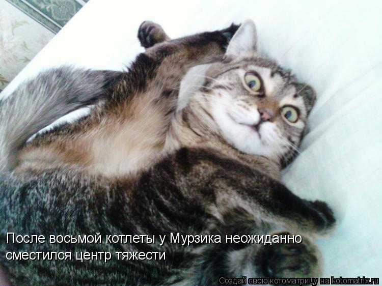 После восьмой котлеты у Мурзика неожиданно сместился центр тяжести... Котоматрица: После восьмой котлеты у Мурзика неожиданно сместился центр тяжести