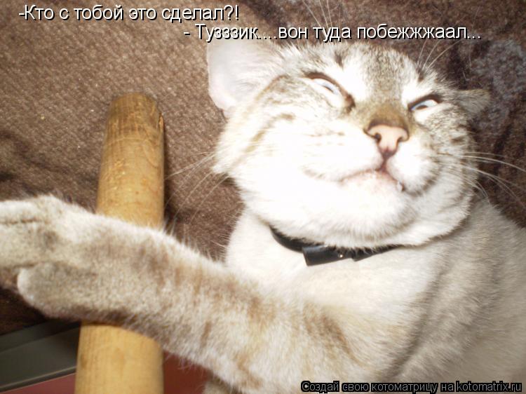 -Кто с тобой это сделал?! - Тузззик....вон туда побежжжаал...... Котоматрица: -Кто с тобой это сделал?! - Тузззик....вон туда побежжжаал...