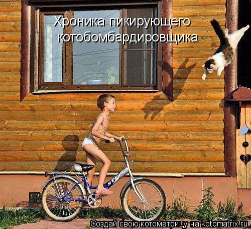 Хроника пикирующего котобомбардировщика... Котоматрица: Хроника пикирующего котобомбардировщика