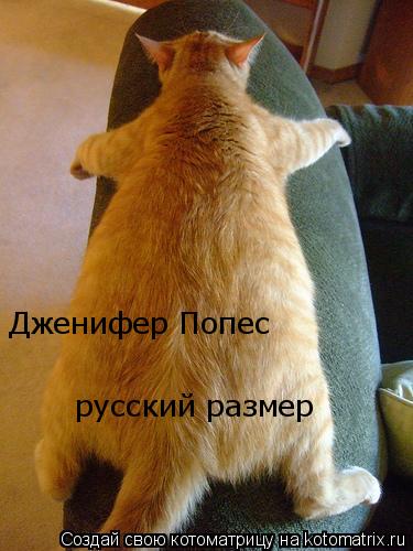 Дженифер Попес русский размер... Котоматрица: Дженифер Попес русский размер