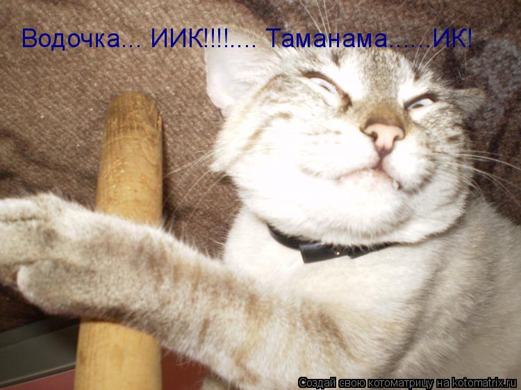 Водочка... ИИК!!!!.... Таманама......ИК!... Котоматрица: Водочка... ИИК!!!!.... Таманама......ИК!