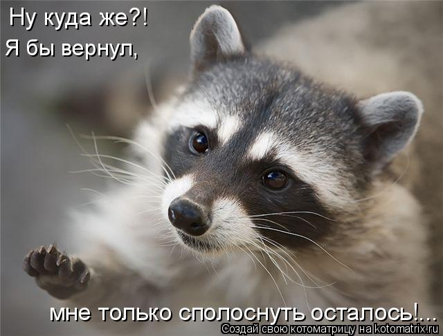 Ну куда же?! Я бы вернул, мне только сполоснуть осталось!...... Котоматрица: Ну куда же?! Я бы вернул, мне только сполоснуть осталось!...