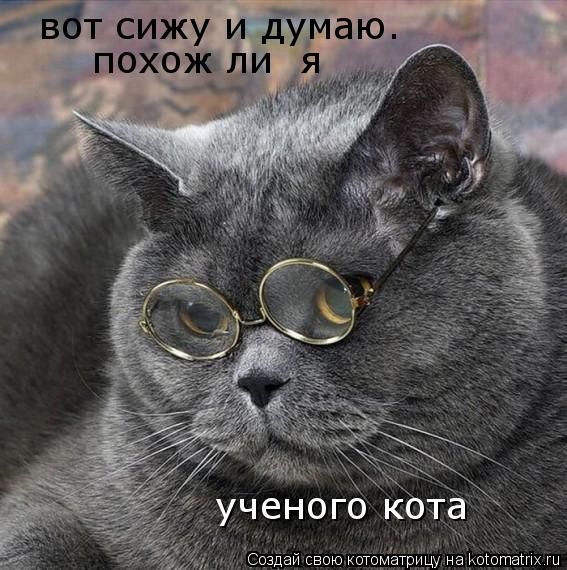 вот сижу и думаю. похож ли я ученого кота... Котоматрица: вот сижу и думаю. похож ли я ученого кота