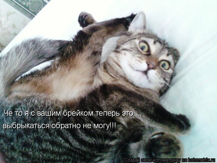выбрыкаться обратно не могу!!! Че то я с вашим брейком теперь это....... Котоматрица: выбрыкаться обратно не могу!!! Че то я с вашим брейком теперь это....