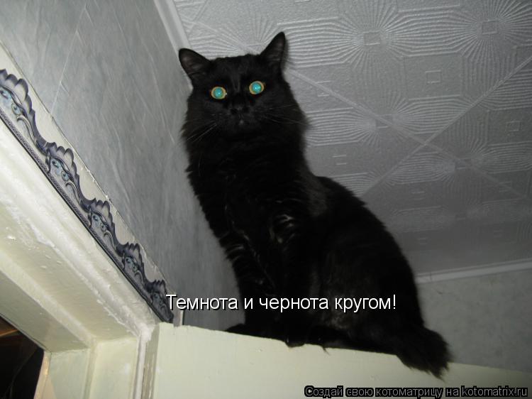 Темнота и чернота кругом!... Котоматрица: Темнота и чернота кругом!