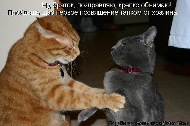 Ну, браток, поздравляю, крепко обнимаю! Пройдешь щас первое посвящение тапком от хозяина... Котоматрица: Ну, браток, поздравляю, крепко обнимаю! Пройдешь щас первое посвящение тапком от хозяина