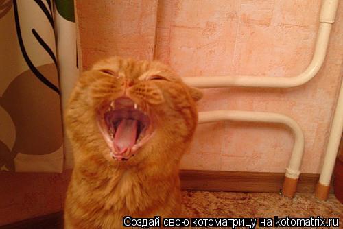 моиии батарейкиии!! где онииии??... Котоматрица: моиии батарейкиии!! где онииии??