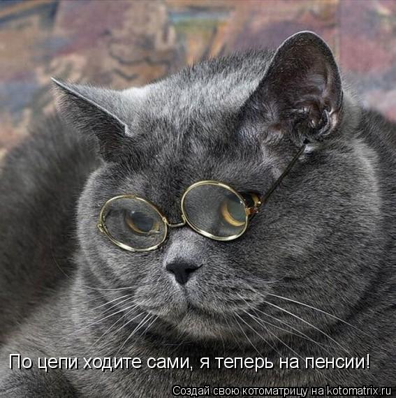 По цепи ходите сами, я теперь на пенсии!... Котоматрица: По цепи ходите сами, я теперь на пенсии!