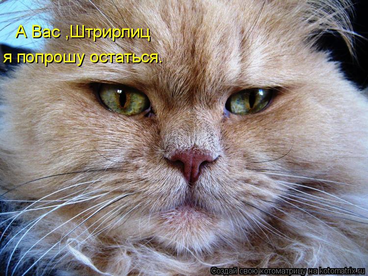 А Вас ,Штрирлиц я попрошу остаться.... Котоматрица: А Вас ,Штрирлиц я попрошу остаться.