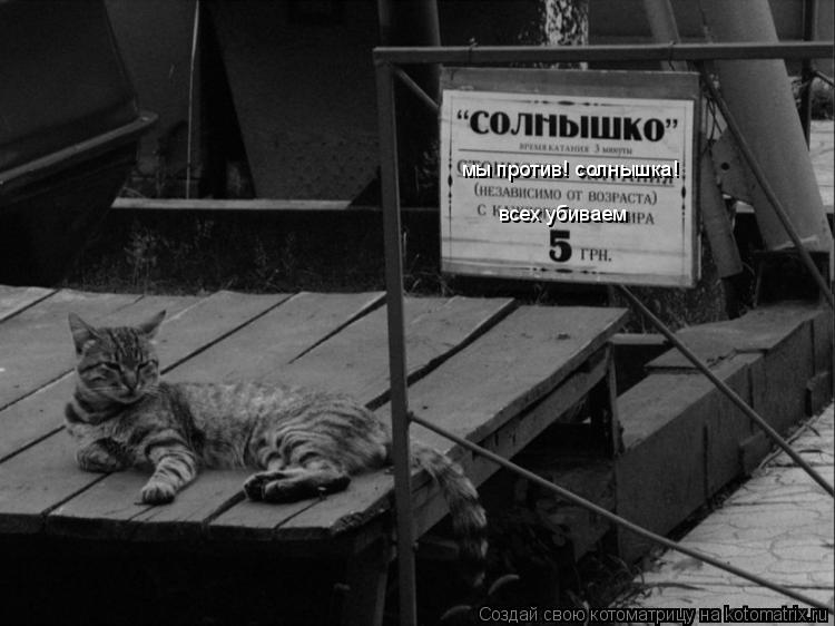 мы против! солнышка! всех убиваем... Котоматрица: мы против! солнышка! всех убиваем