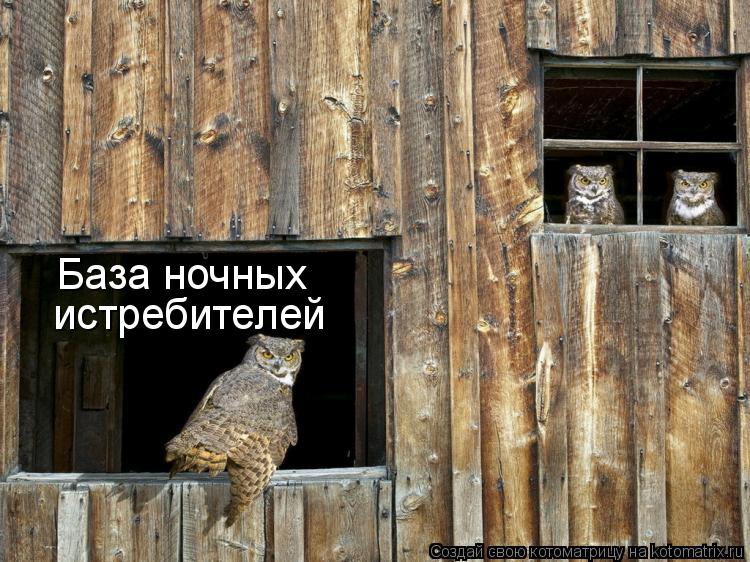 База ночных истребителей... Котоматрица: База ночных истребителей