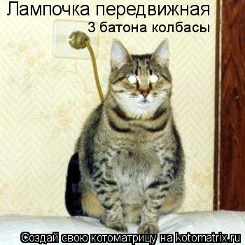 Лампочка передвижная 3 батона колбасы... Котоматрица: Лампочка передвижная 3 батона колбасы