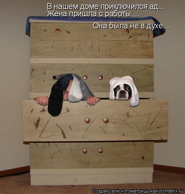 В нашем доме приключился ад... Жена пришла с работы.... Она была не в духе....... Котоматрица: В нашем доме приключился ад... Жена пришла с работы.... Она была не в духе....
