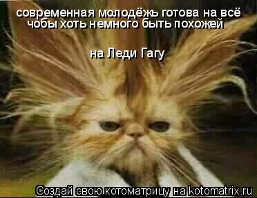 современная молодёжь готова на всё чобы хоть немного быть похожей на Леди Гагу... Котоматрица: современная молодёжь готова на всё чобы хоть немного быть похожей на Леди Гагу