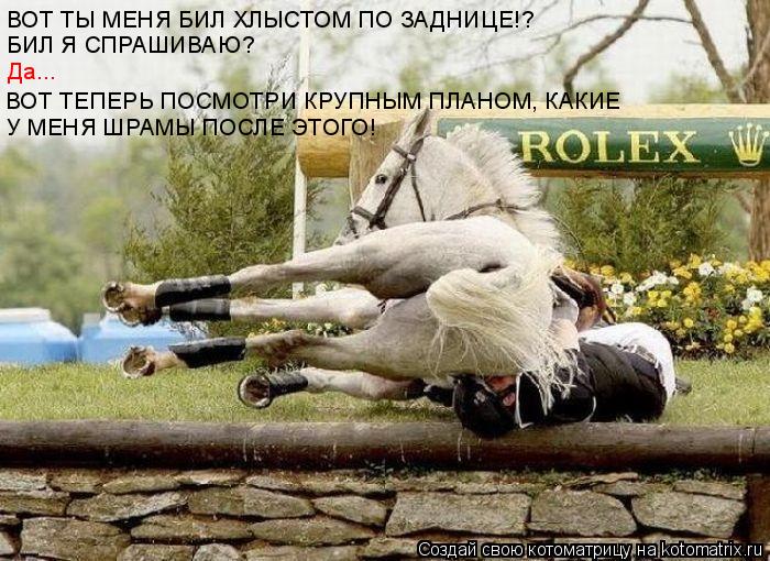 БИЛ Я СПРАШИВАЮ? Да... ВОТ ТЕПЕРЬ ПОСМОТРИ КРУПНЫМ ПЛАНОМ, КАКИЕ У МЕНЯ ШРАМЫ ПОСЛЕ ЭТОГО! ВОТ ТЫ МЕН... Котоматрица: БИЛ Я СПРАШИВАЮ? Да... ВОТ ТЕПЕРЬ ПОСМОТРИ КРУПНЫМ ПЛАНОМ, КАКИЕ У МЕНЯ ШРАМЫ ПОСЛЕ ЭТОГО! ВОТ ТЫ МЕНЯ БИЛ ХЛЫСТОМ ПО ЗАДНИЦЕ!?