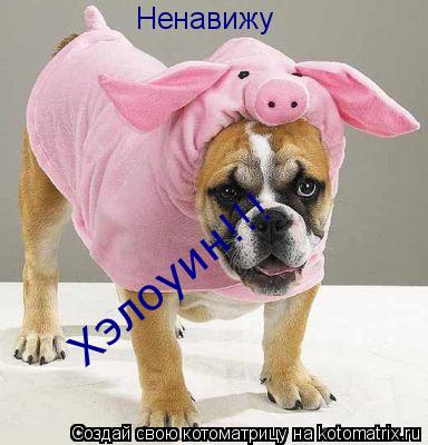 Ненавижу Хэлоуин!!!... Котоматрица: Ненавижу Хэлоуин!!!
