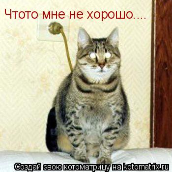 Чтото мне не хорошо....... Котоматрица: Чтото мне не хорошо....