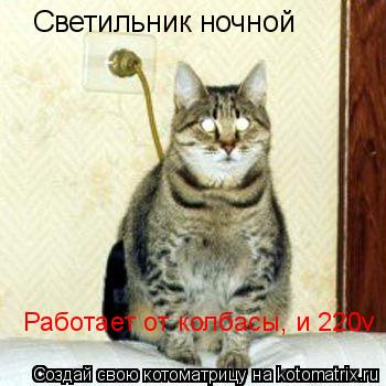 Светильник ночной Работает от колбасы, и 220v... Котоматрица: Светильник ночной Работает от колбасы, и 220v